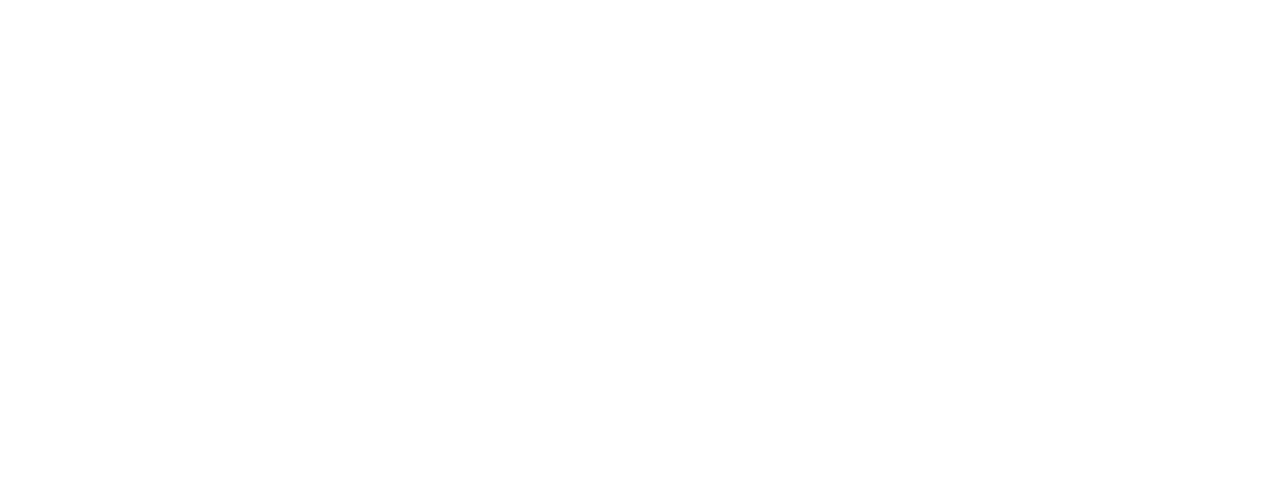 Rokid