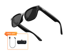 Rokid Ai Glasses Style (Non-Display)