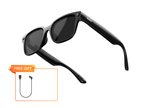 Rokid Ai Glasses Style (Non-Display)