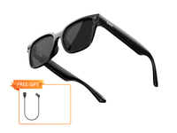 Rokid Ai Glasses Style (Non-Display)