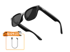 Rokid Ai Glasses Style (Non-Display)